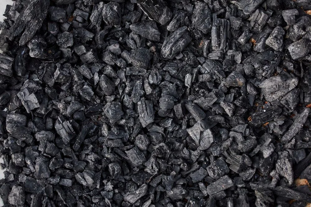 Activated Charcoal — Plant Tissue Culture Grade