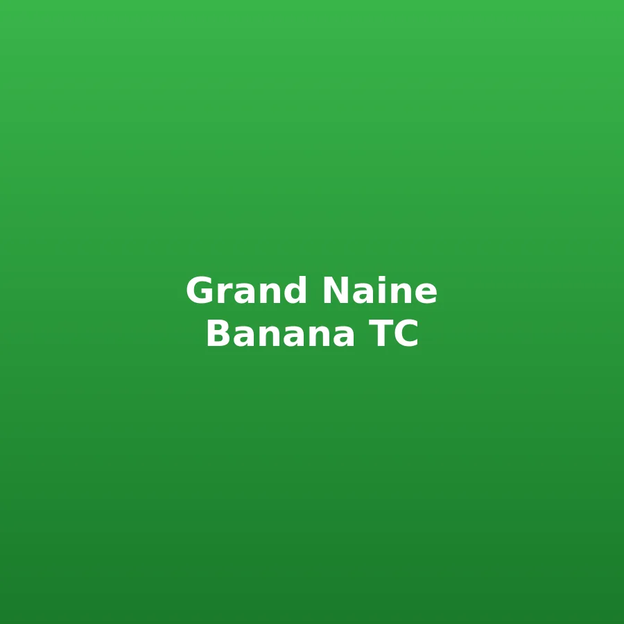 Banana TC Plantlet — Grand Naine